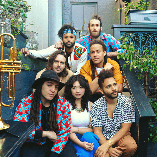 Bare Necessities Collective