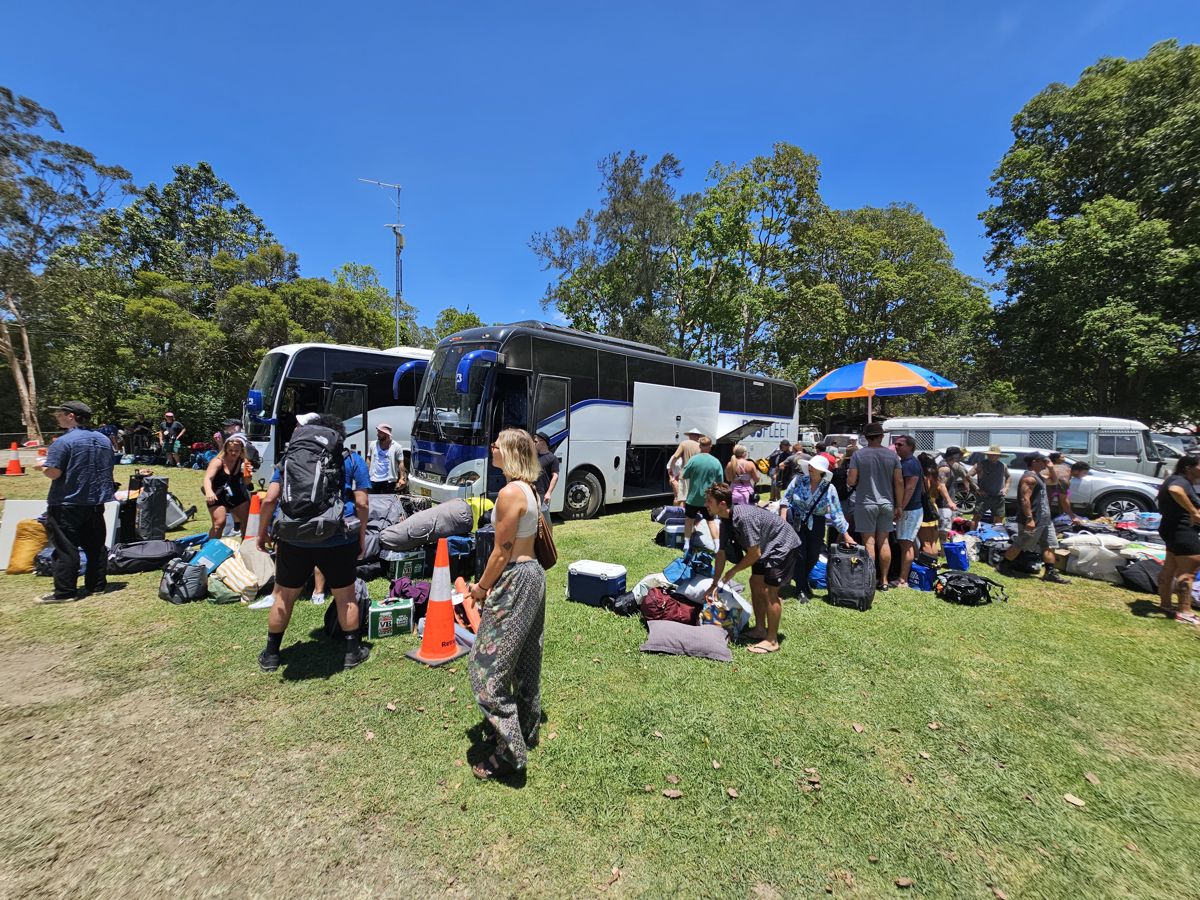 Festival buses